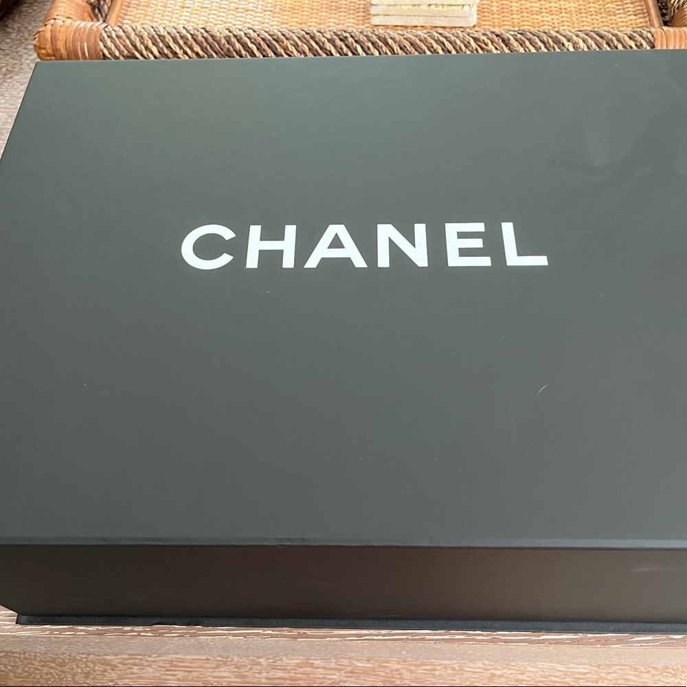 Chanel 18 C Gabrielle Bag in Python - Picture 2 of 14